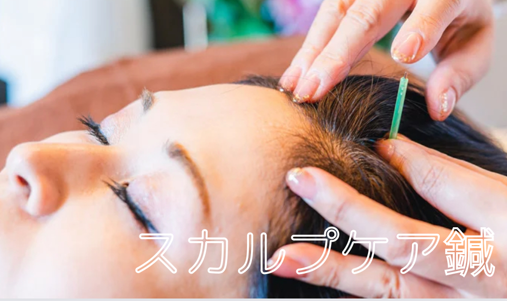鍼灸サロン Hari-Cure 発毛促進スカルプケア鍼のメニュー画像