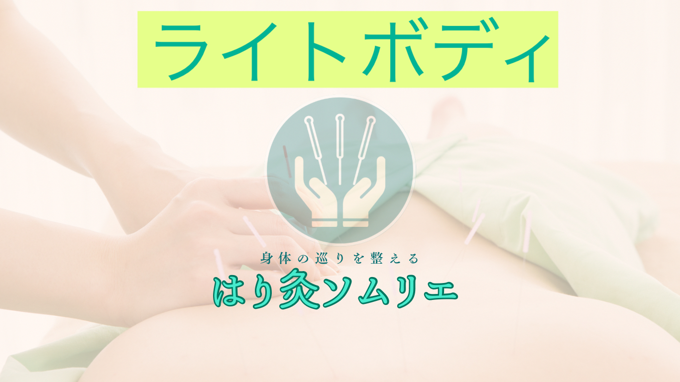 はり灸ソムリエ ライトボディのメニュー画像