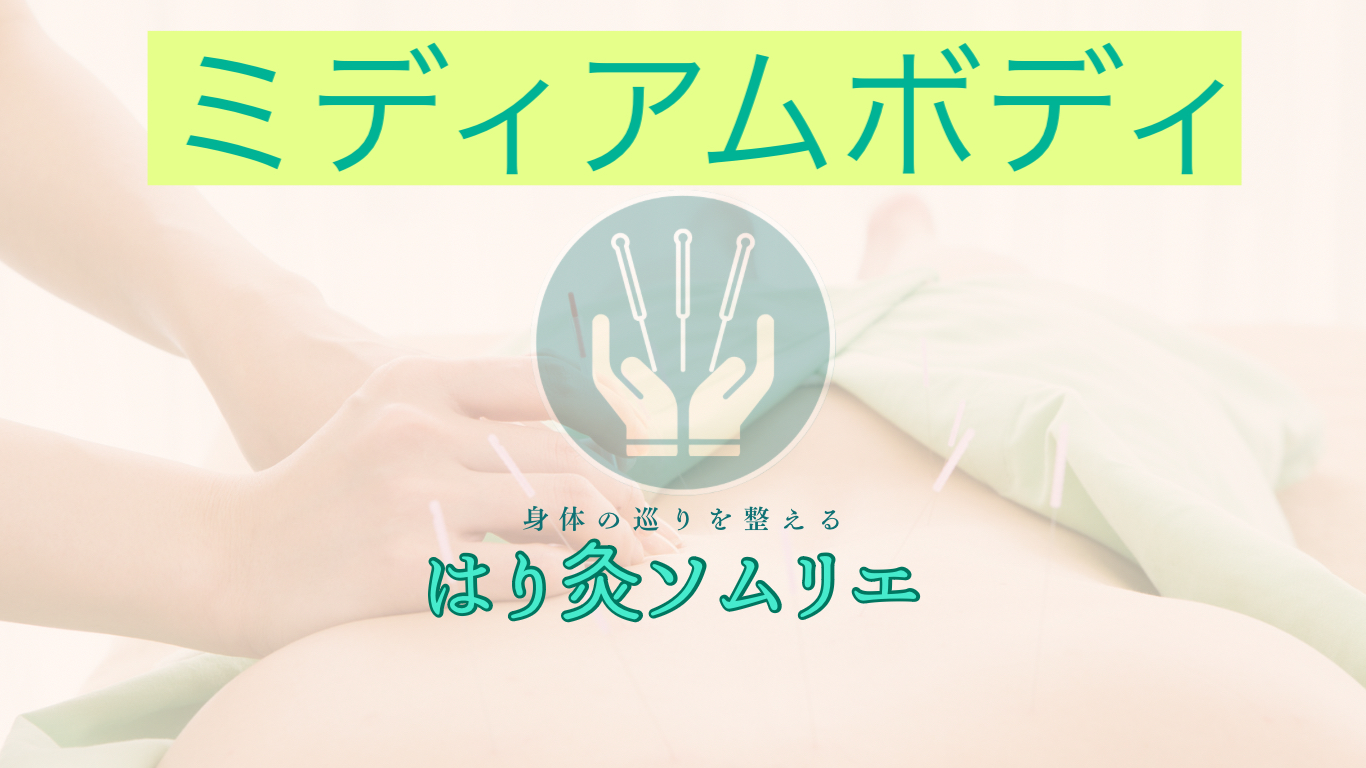 はり灸ソムリエ ミディアムボディのメニュー画像