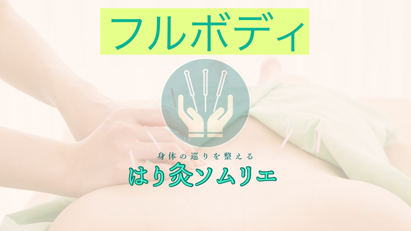 はり灸ソムリエ フルボディのメニュー画像