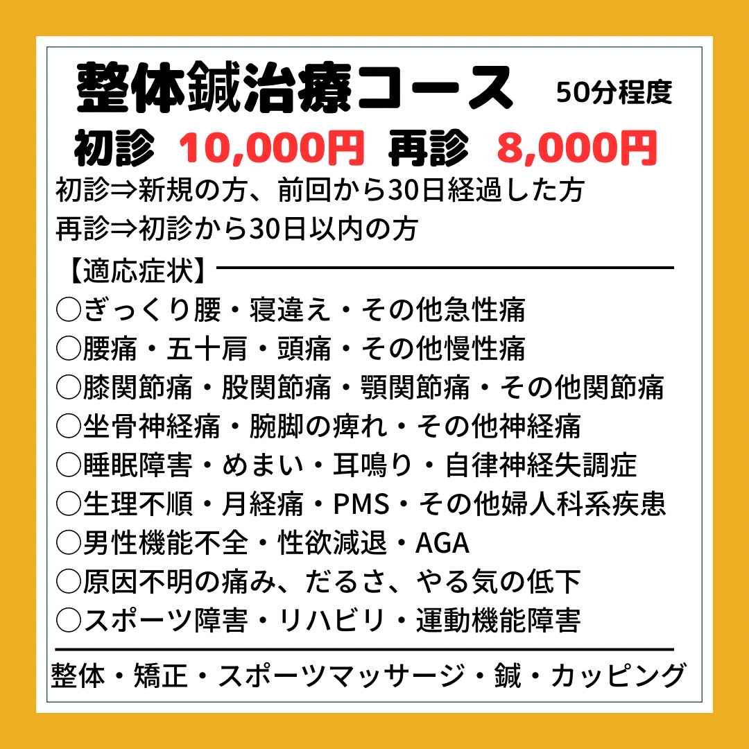 はりすたいる鍼灸院 整体鍼治療コース　初回のメニュー画像