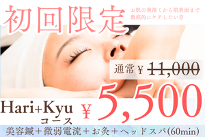 美容鍼灸サロンNenne 【Nenne最上級】Hari+Kyuコース【90分】※初回価格のメニュー画像