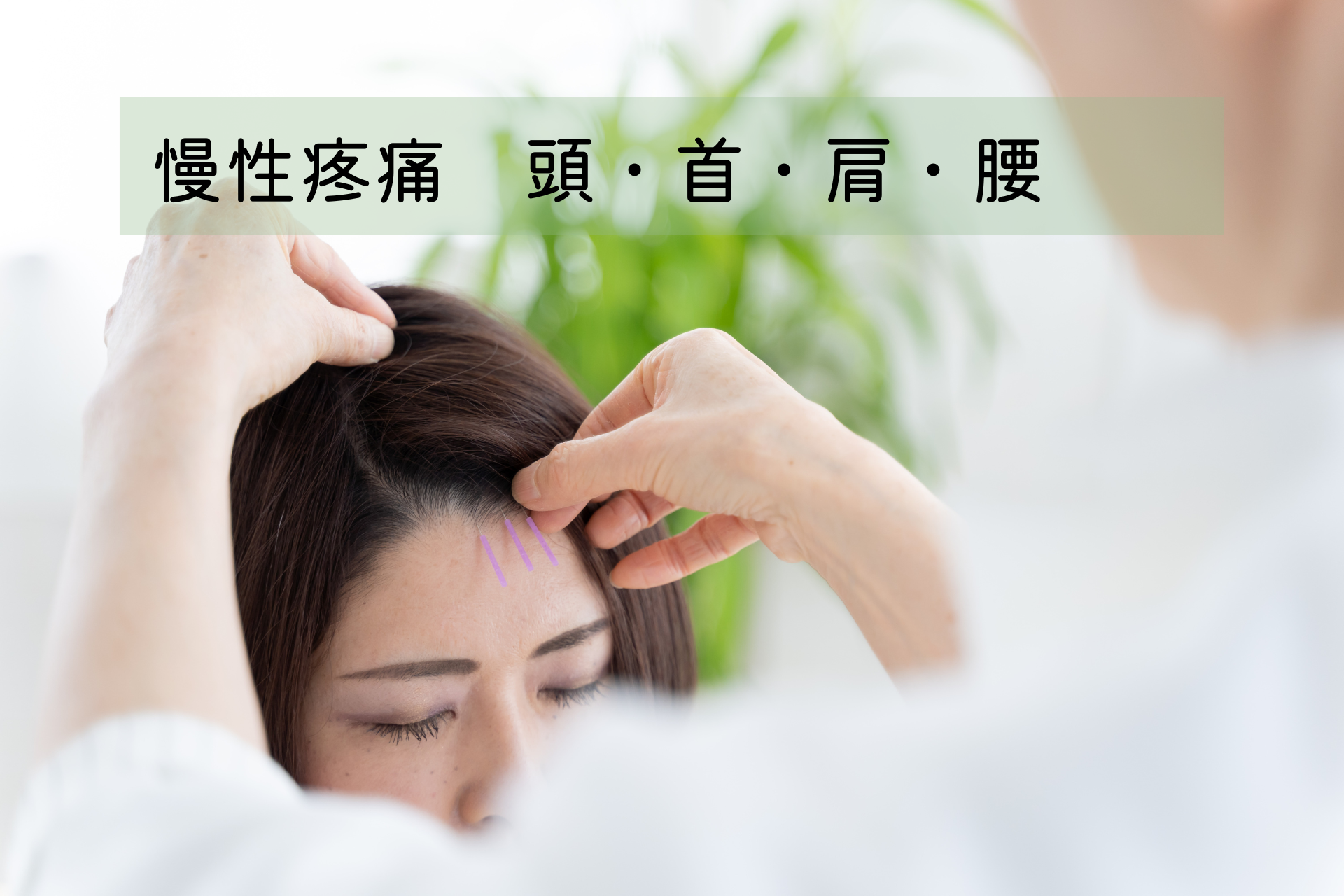 フランシラ治療院 【脳疲労を改善】 YNSA(山元式新頭針療法) のメニュー画像