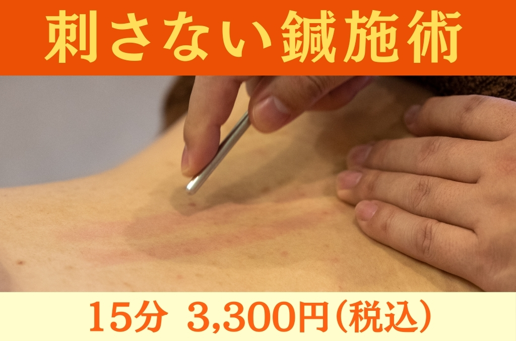 龍華鍼灸院 刺さない鍼施術のメニュー画像