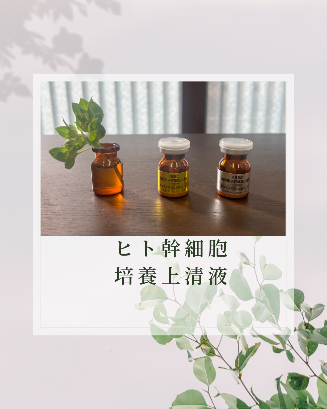 鍼灸 スノルノ ヒト幹細胞培養上清液吸引+鍼灸治療のメニュー画像