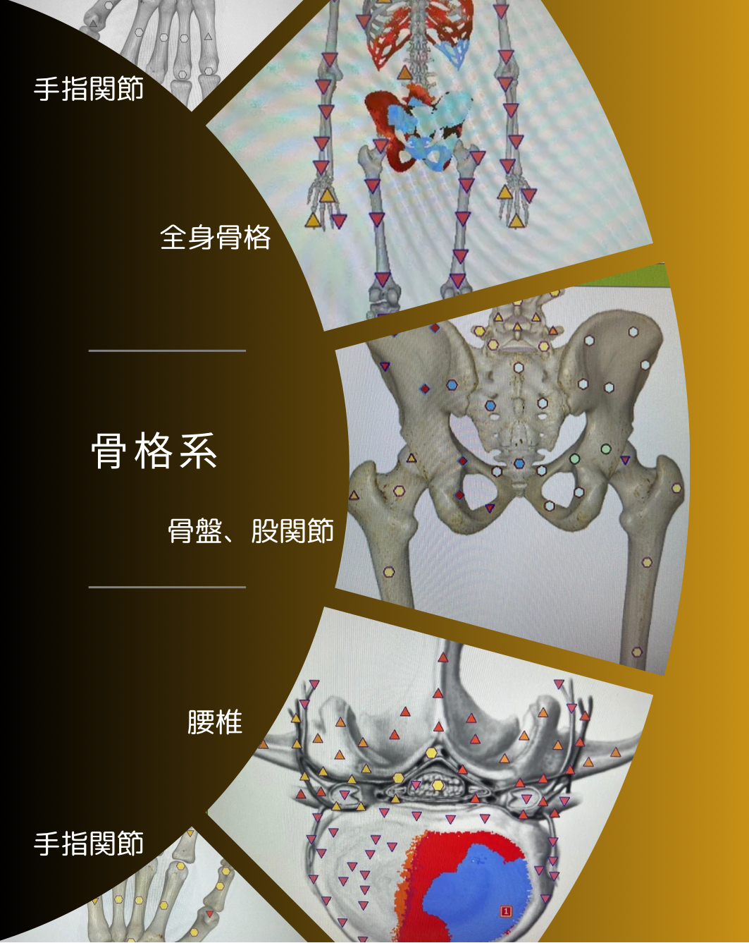 鍼灸　スノルノ メタトロンのメニュー画像