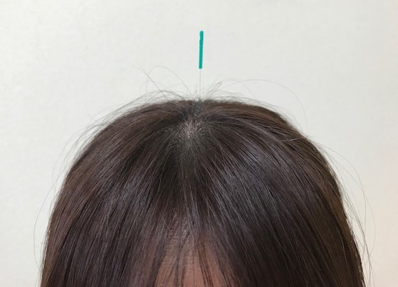 からだケアさがみ 自律神経調整コースのメニュー画像
