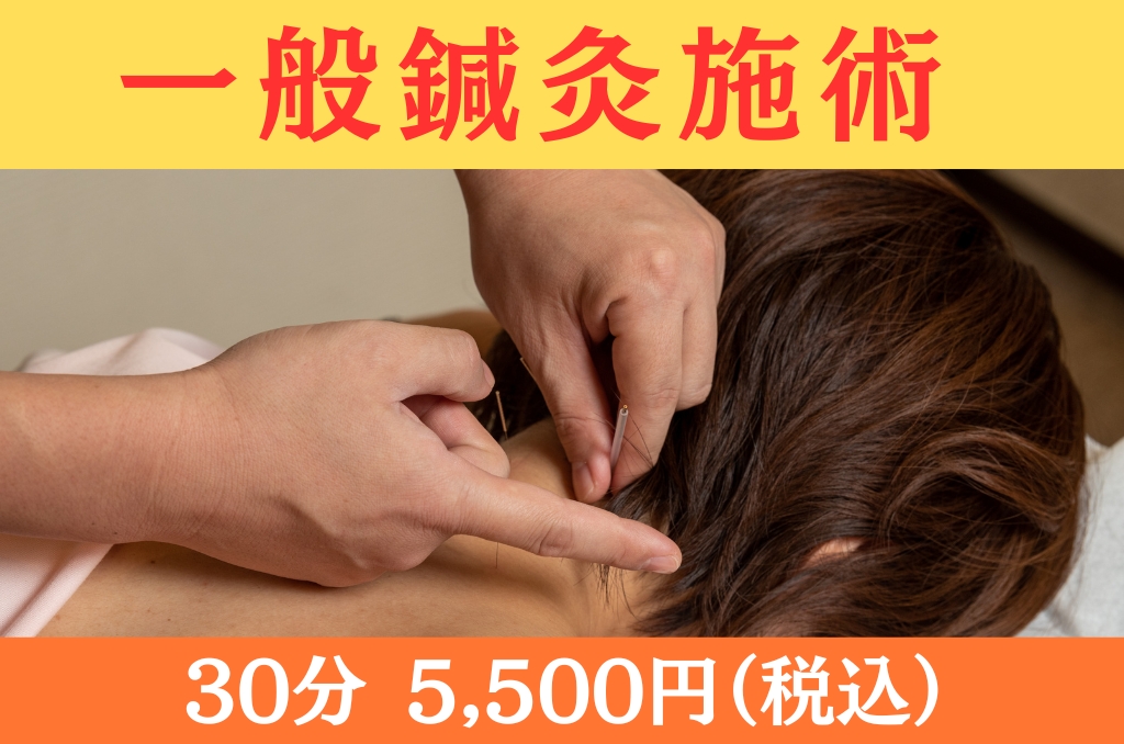 龍華鍼灸院 【オプション】一般鍼灸施術のメニュー画像