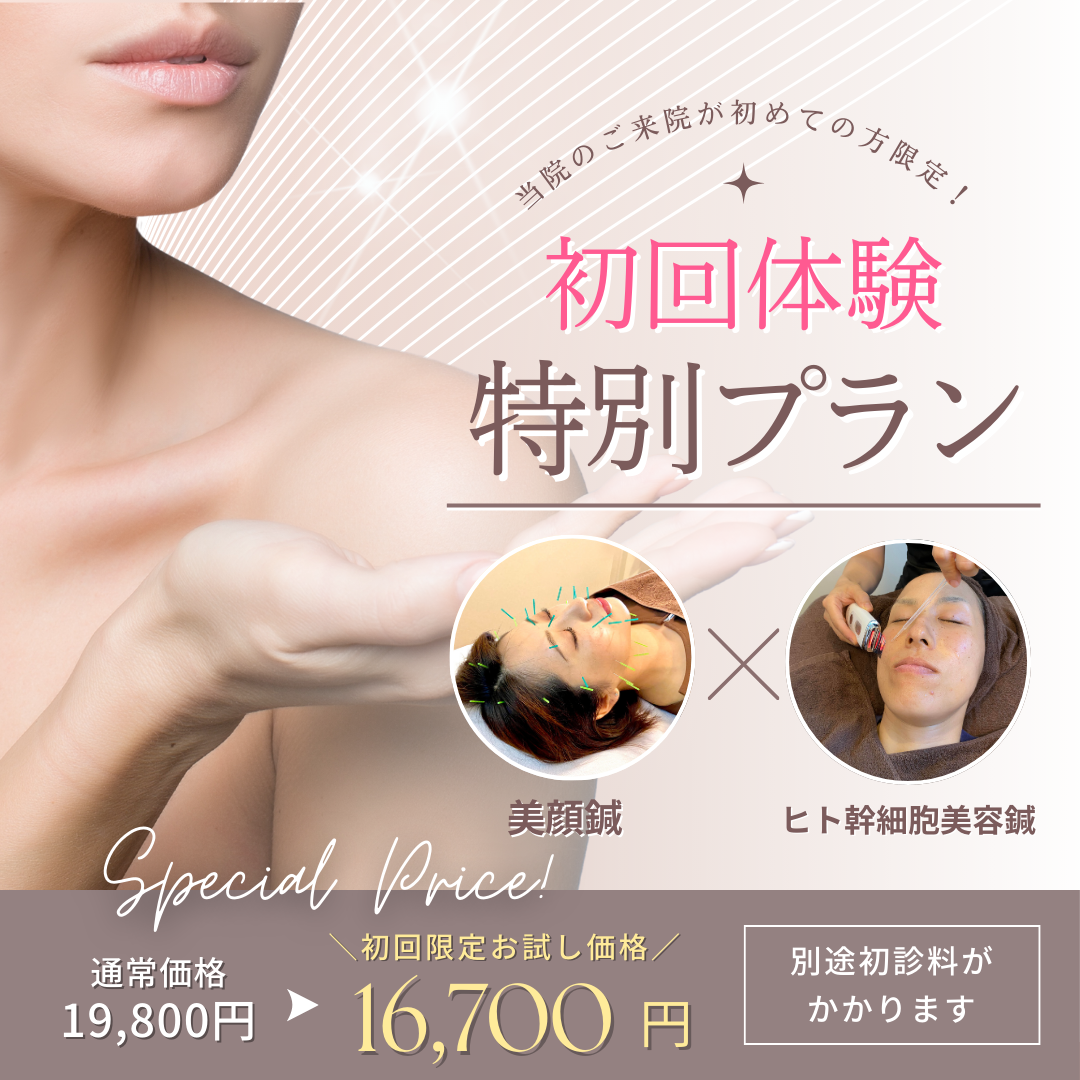 マッサージ鍼灸院 百逢（ひゃくえ）のメニュー選択 | 市原・木更津