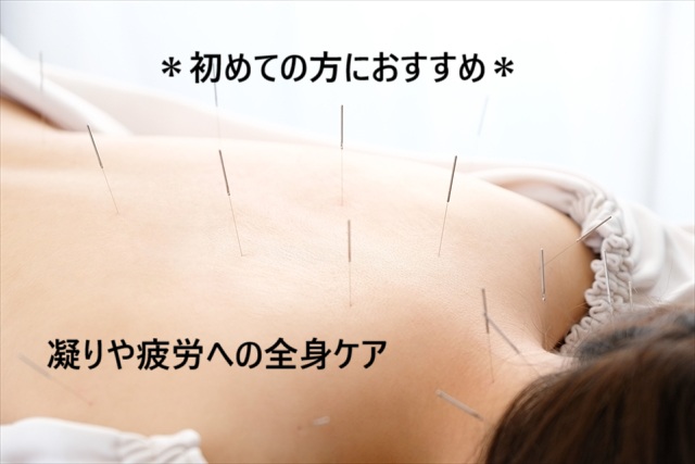 心鍼房 -心理カウンセリング＆鍼灸院- 【初めての方】鍼灸（全身）凝り改善＆巡りUPのメニュー画像