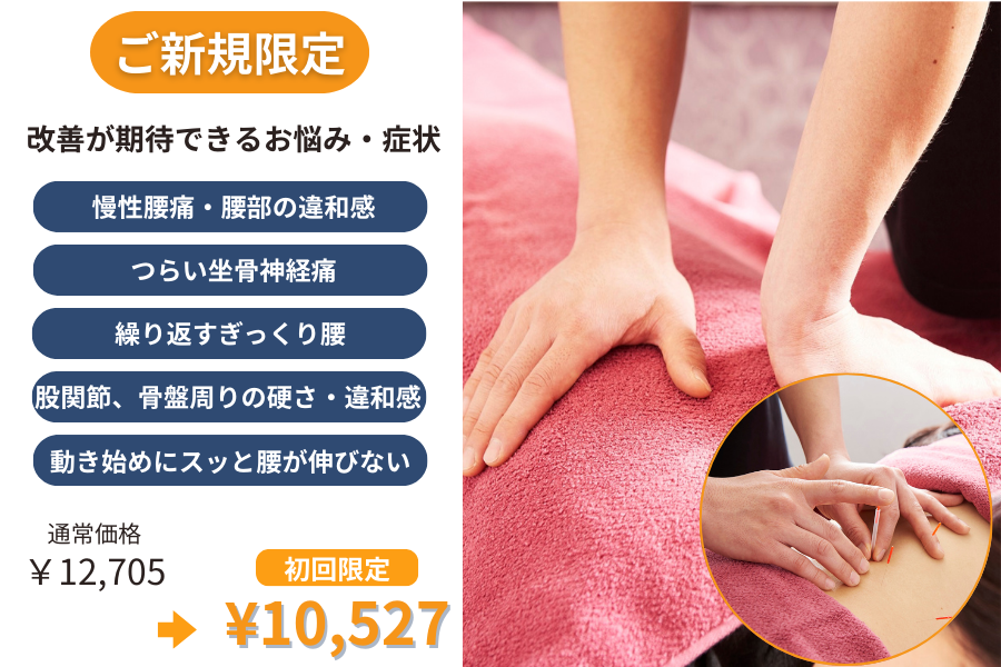 鍼灸マッサージcare place enishi 〈ご新規限定価格〉骨盤・股関節周りの柔軟性UP！ずっしり腰痛撃退コースのメニュー画像