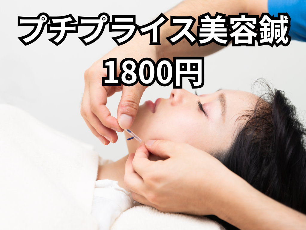 やけの鍼灸整骨院 プチプライス美容鍼のメニュー画像