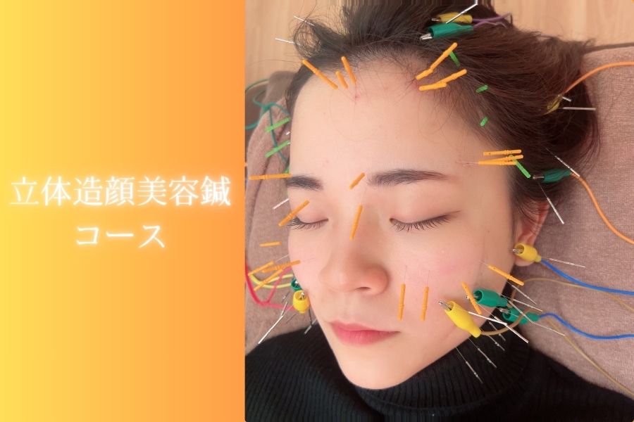 美容鍼・はりきゅうサロン　笑陽堂 ⭐︎リフトアップ⭐︎立体造顔美容鍼コースのメニュー画像