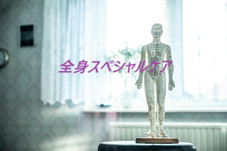 養精鍼灸院 初診全身スペシャルケアのメニュー画像