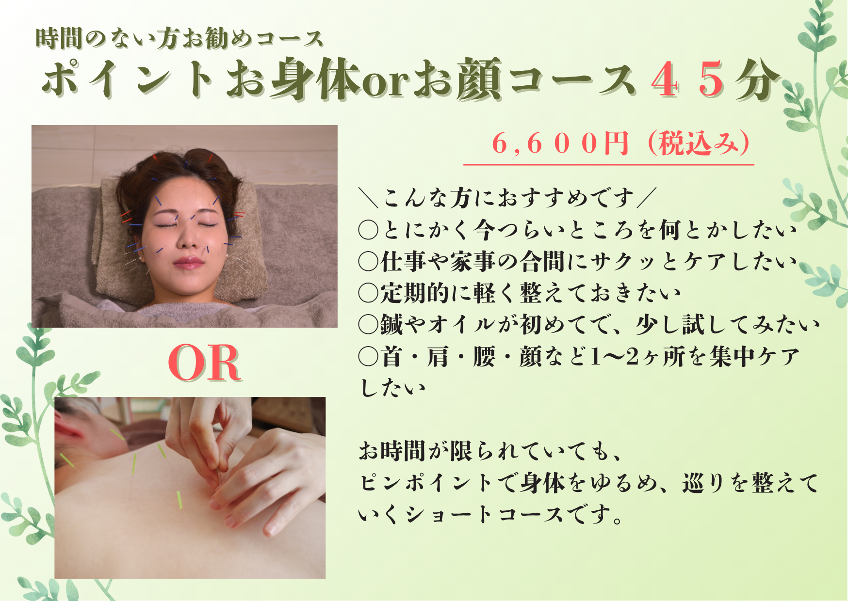 お家しんきゅうミミ ショートコース45分 忙しくてもケアをしたい方にお勧め(辛い部分集中)のメニュー画像