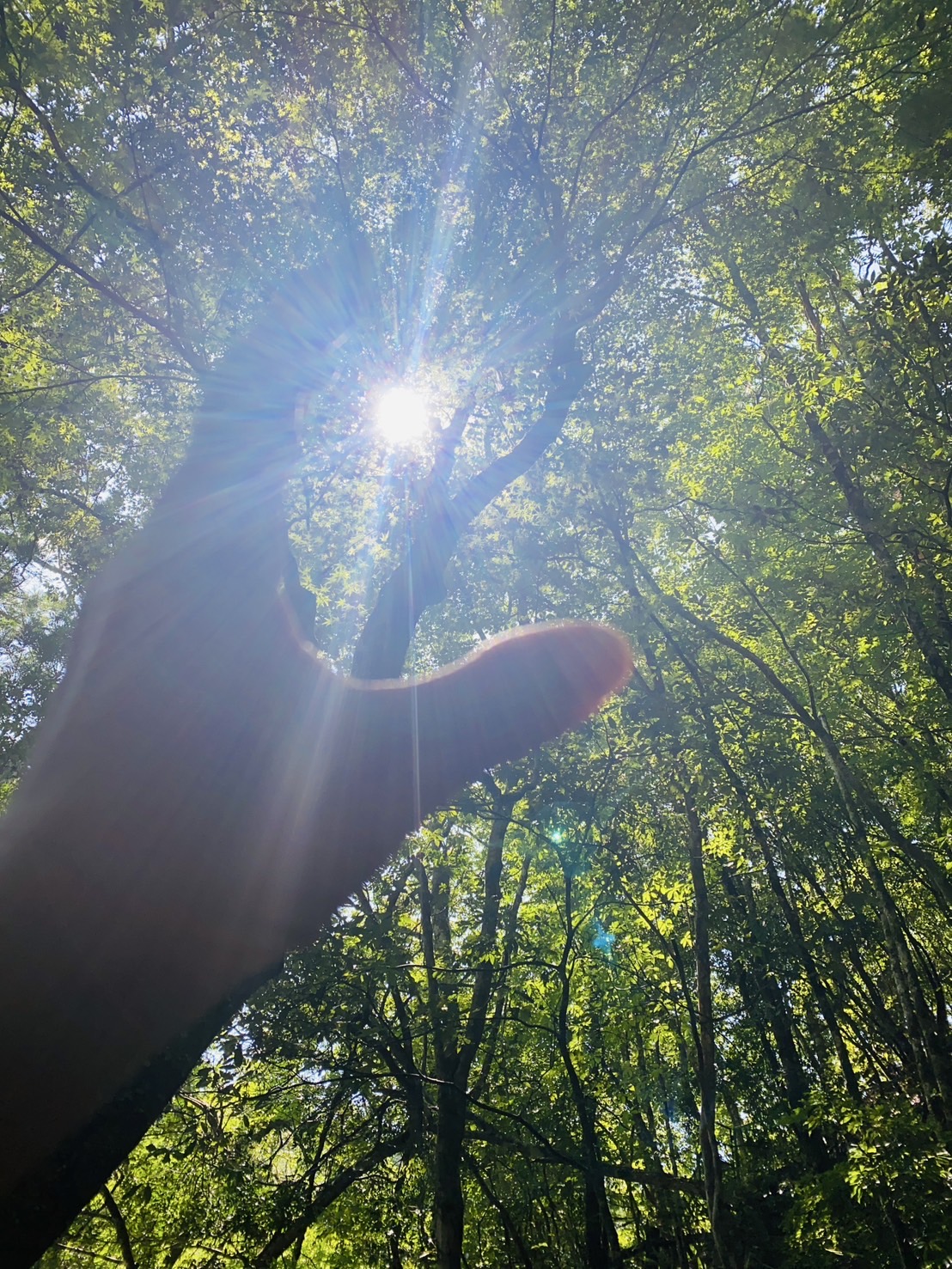 長﨑鍼療院【ルート治療認定院】 空ルート治療のメニュー画像