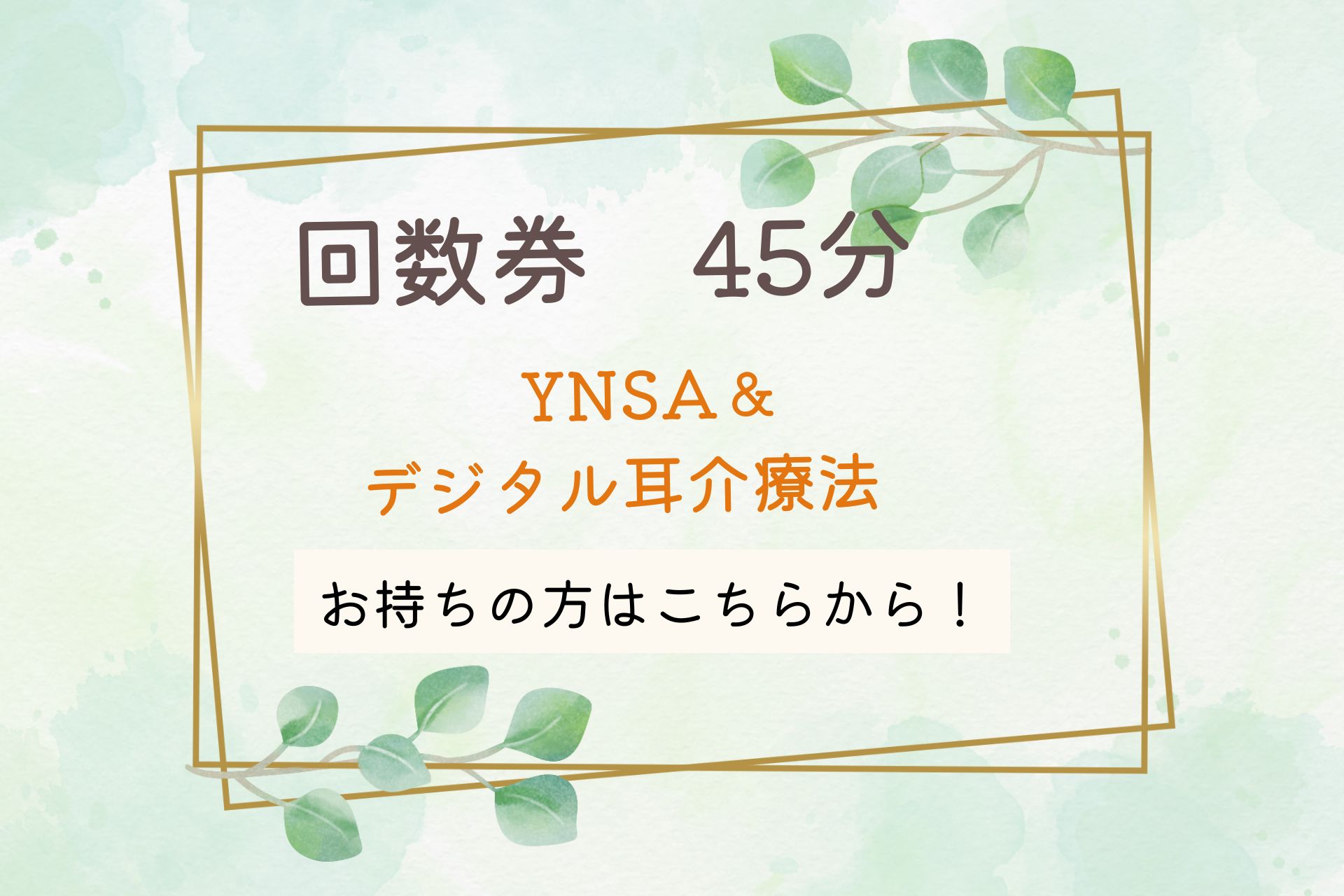 六本木鍼灸治療院フランシラ 回数券　45分　YNSA＆デジタル耳介療法のメニュー画像