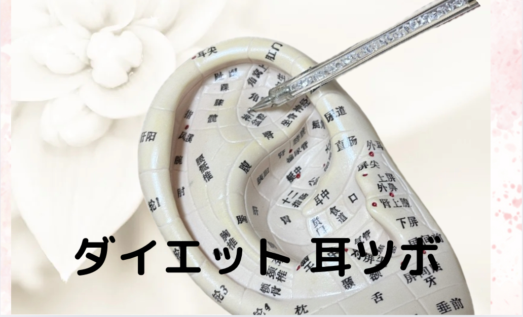 はり灸サロンはりな ダイエット　耳ツボのメニュー画像