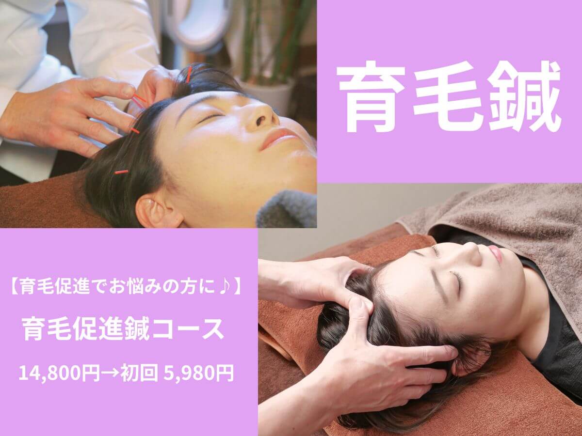 薄毛・抜け毛専門の鍼灸治療院レメディ 【初回】育毛鍼コース（鍼灸治療）のメニュー画像