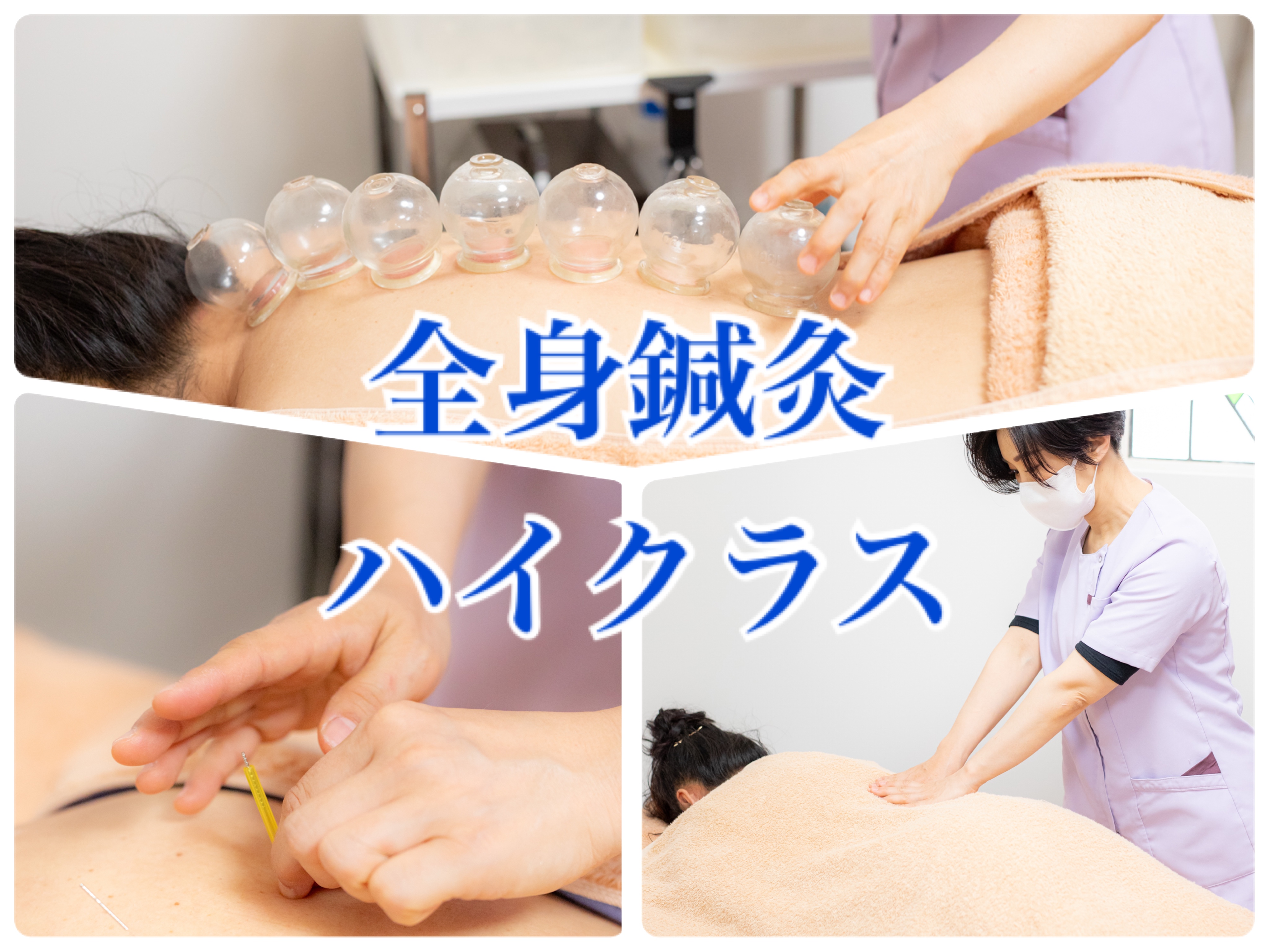 ねこのてはり灸院（旧出張鍼灸懐香） 身体の内外全てをメンテナンス　全身鍼灸ハイクラスのメニュー画像