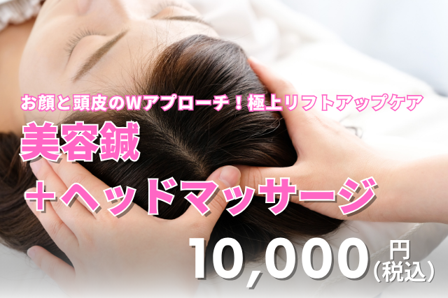 ハリス鍼灸整骨院 美容鍼＋ヘッドマッサージのメニュー画像