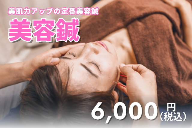 ハリス鍼灸整骨院 美容鍼のメニュー画像