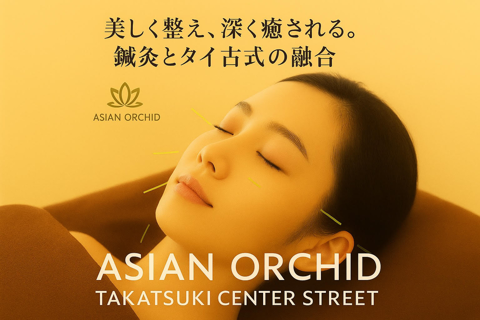 ASIAN ORCHID （アジアンオーキッド）　高槻鍼灸院 美容鍼ベーシックコース（60分）のメニュー画像