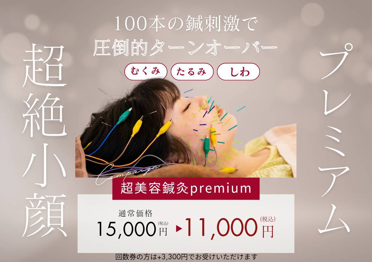 ✨Mercury鍼灸サロン✨　美容専門 超☆美容鍼灸プレミアム１００本のメニュー画像