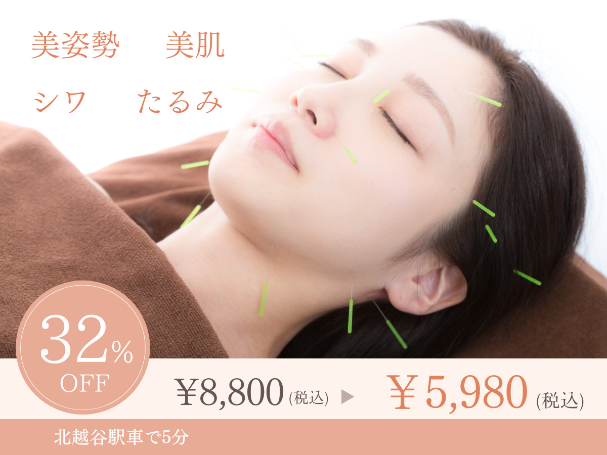 越谷HELM鍼灸整体院 【初回】姿勢から美しくなる美容鍼/1日2名限定のメニュー画像