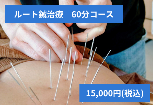 はり灸マッサージSOLE LUNA ルート鍼（多鍼）治療60分　改善効果：GOODのメニュー画像