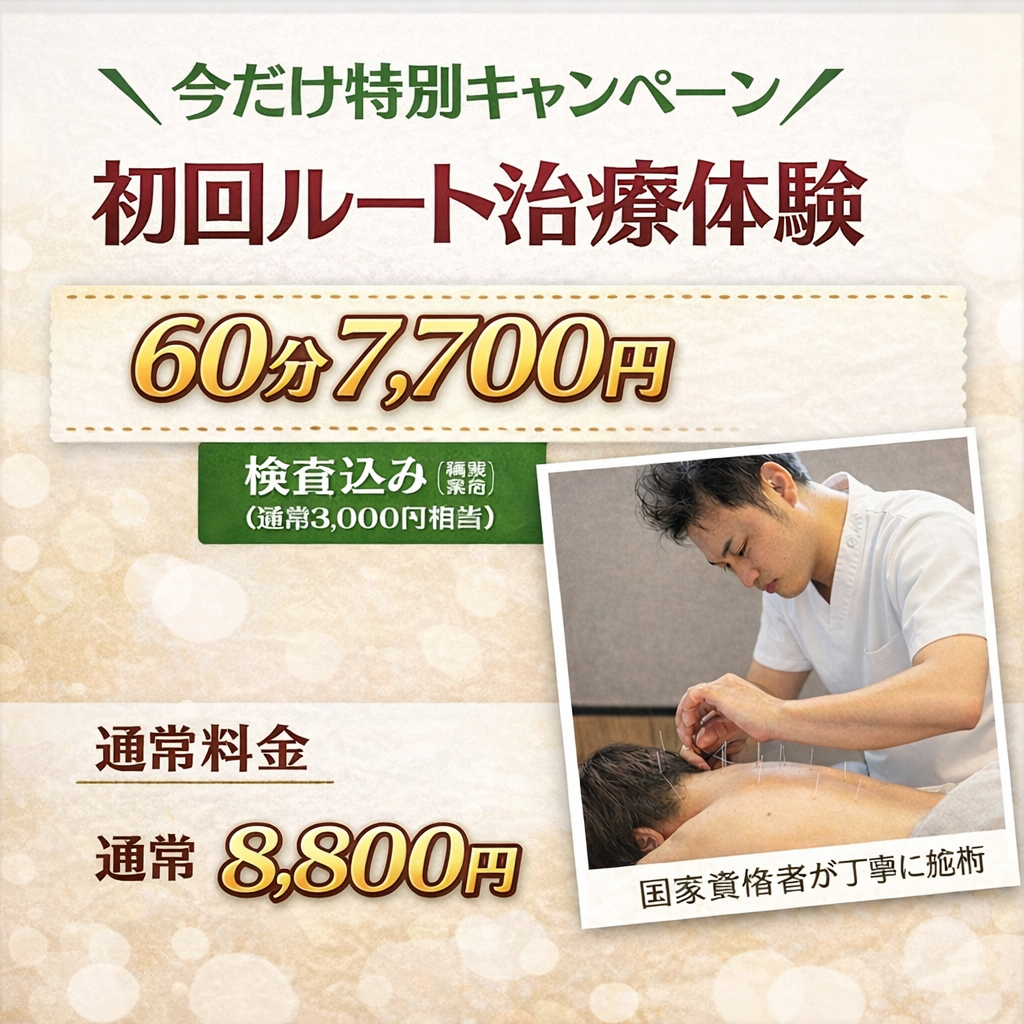 たいよう鍼灸院（八日市/薄毛鍼/美容鍼/特化型鍼灸整骨院） 初回限定６０分ルート治療体験コースのメニュー画像