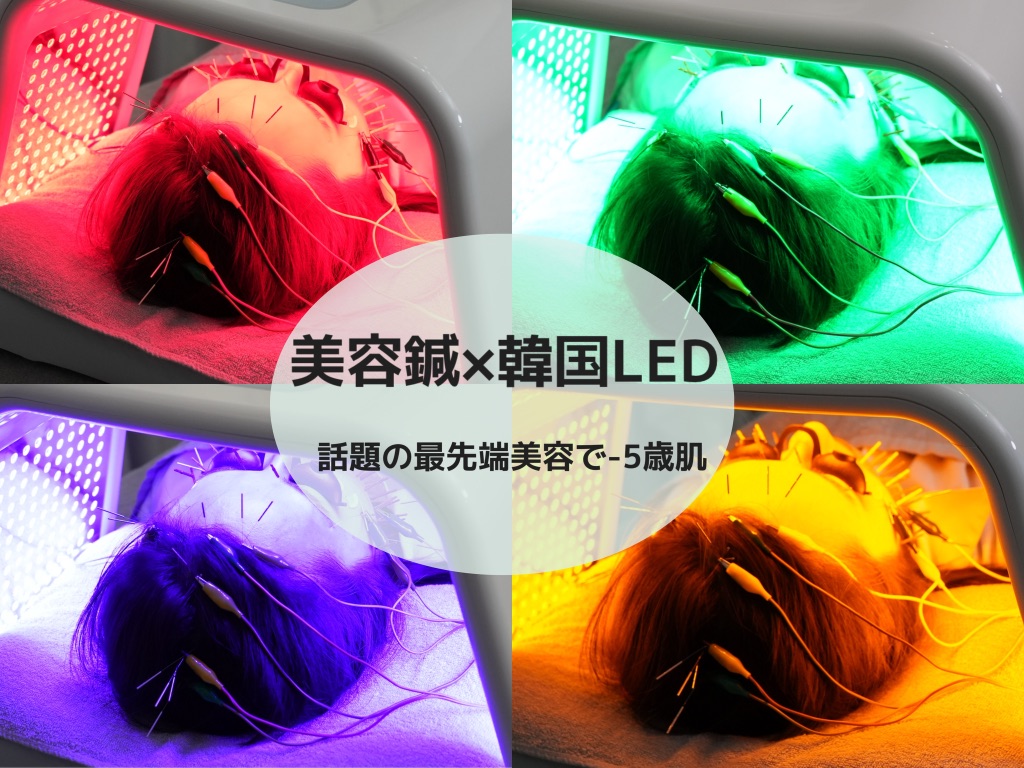 ～美容鍼と体の整えサロン～oasora【オアソラ】 EMS美容鍼×再生LEDのメニュー画像