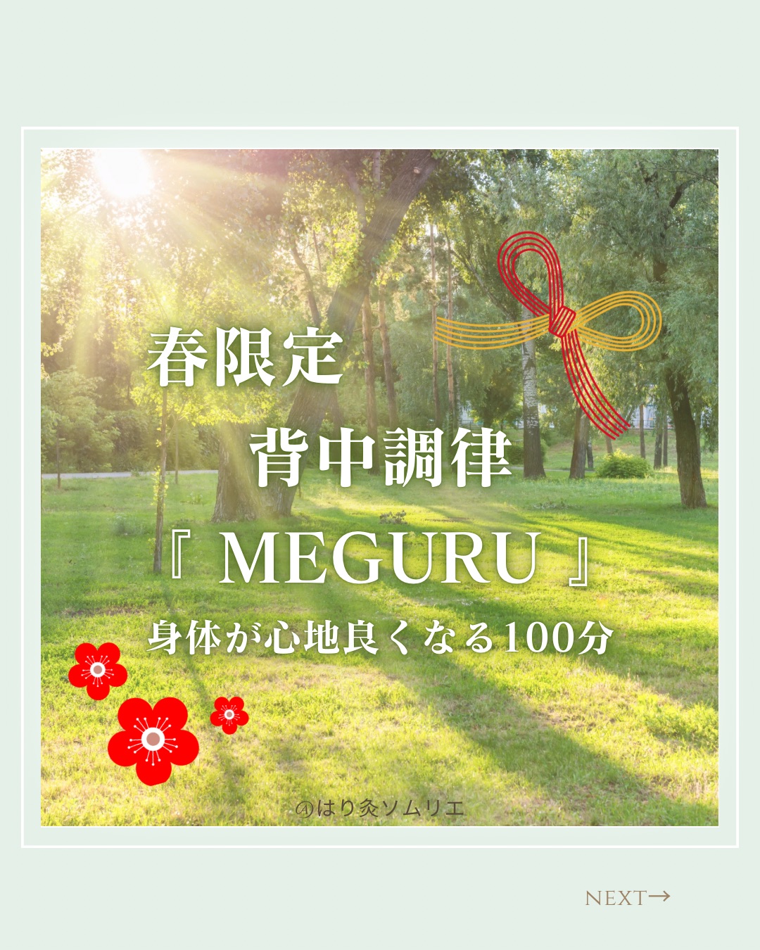 はり灸ソムリエ 春限定『背中調律 MEGURU』ー身体が心地良くなる100分間ーのメニュー画像