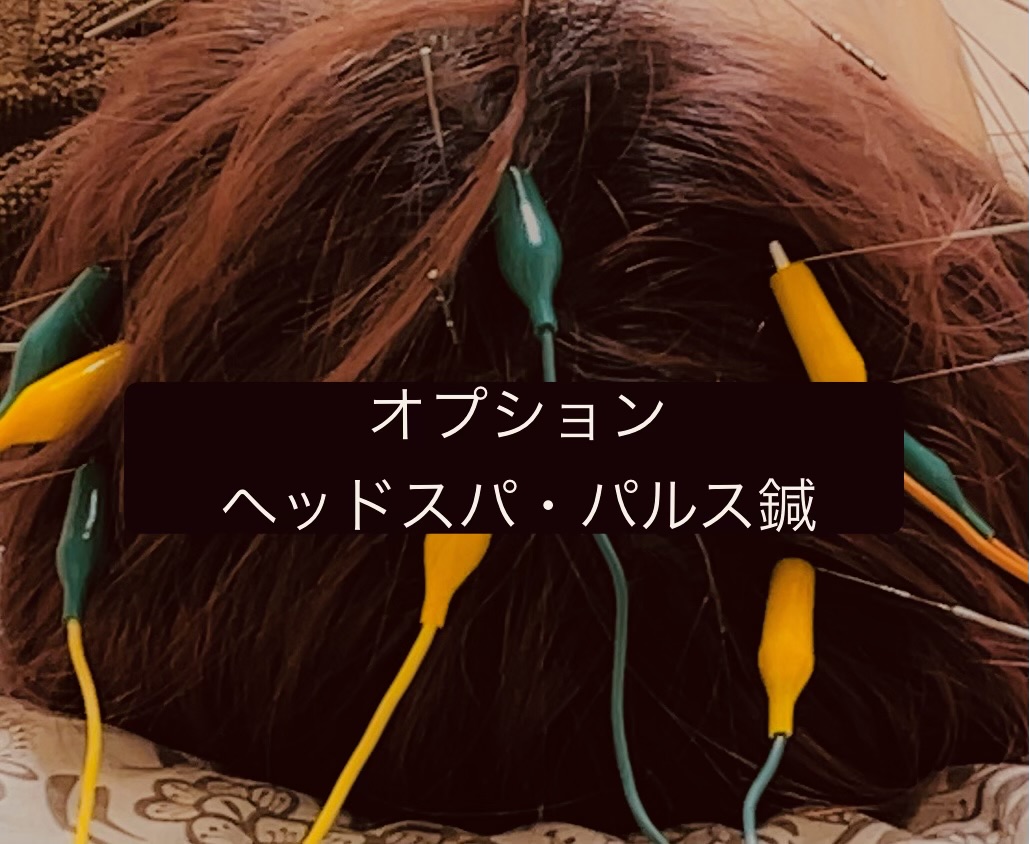 ゆり鍼灸院 ヘッドスパ・電気鍼のメニュー画像