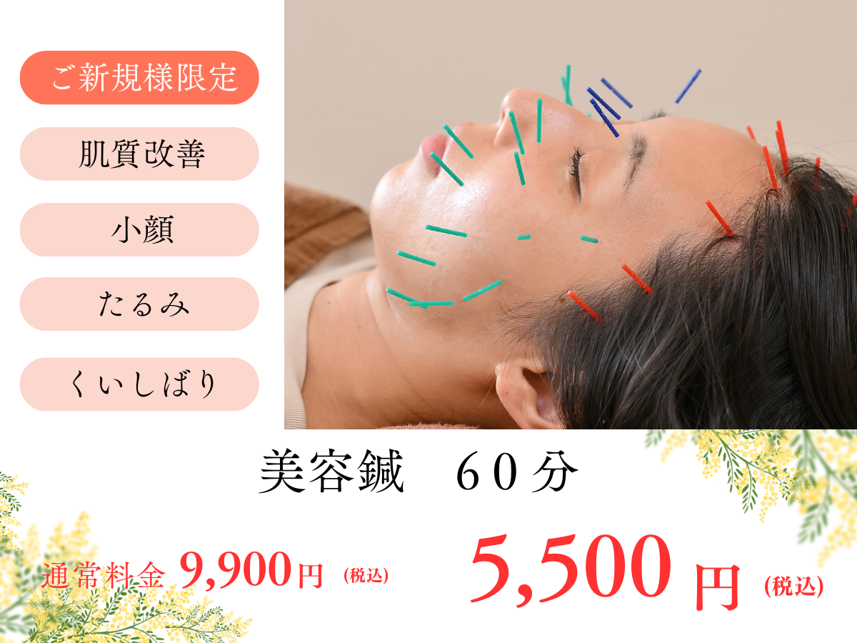 鍼灸×整体　salon i 【ご新規様】　鍼灸治療　60分　5,500円のメニュー画像