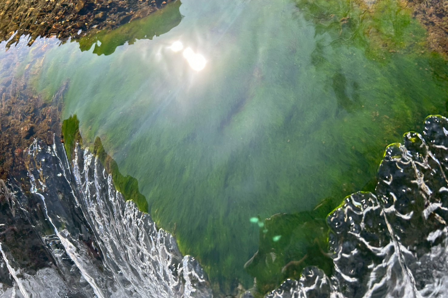 鍼処NAOTO 宮崎出張所 - 小顔整体・慢性症状・神経痛専門ルート鍼治療 - 空ルート整体のメニュー画像
