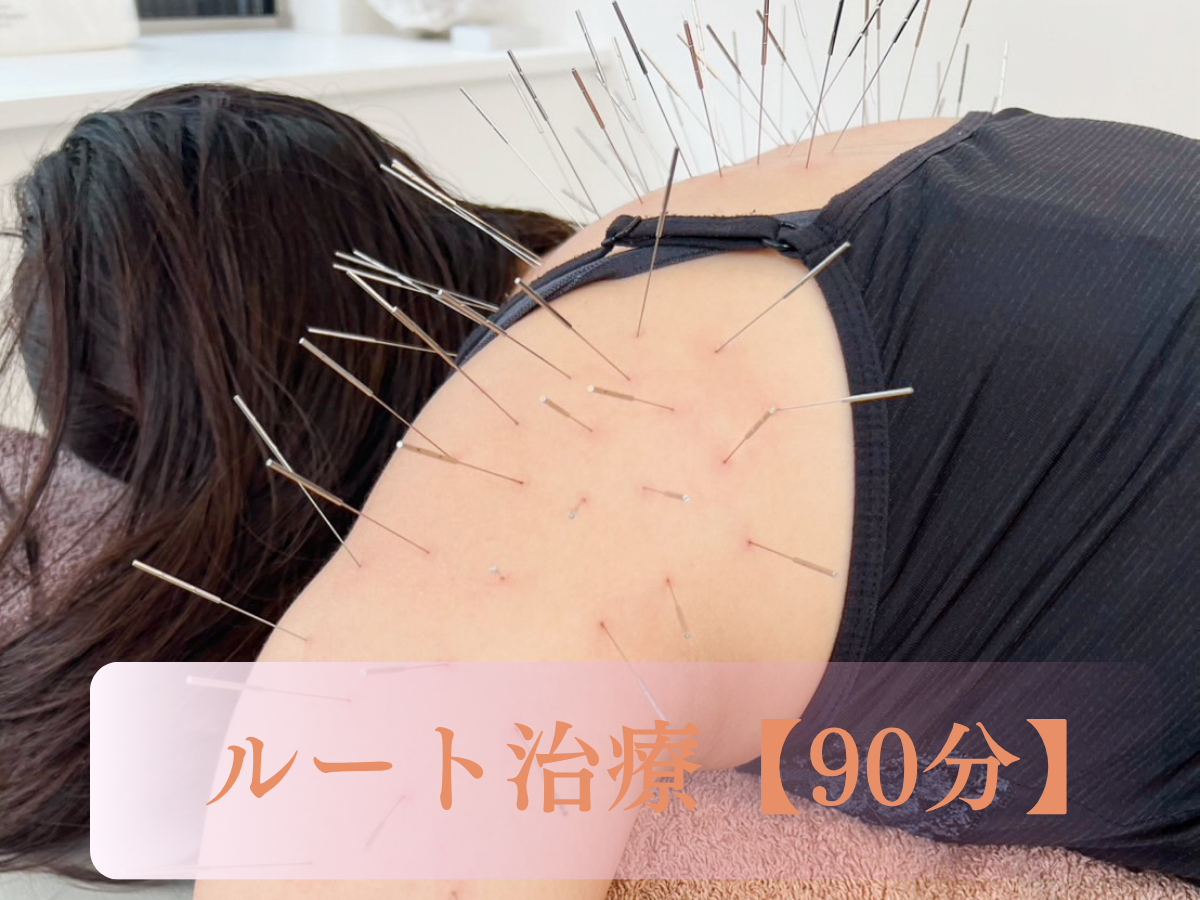 水社-SUI SHA-鍼灸院 　ルート治療 ルート治療【90分】のメニュー画像