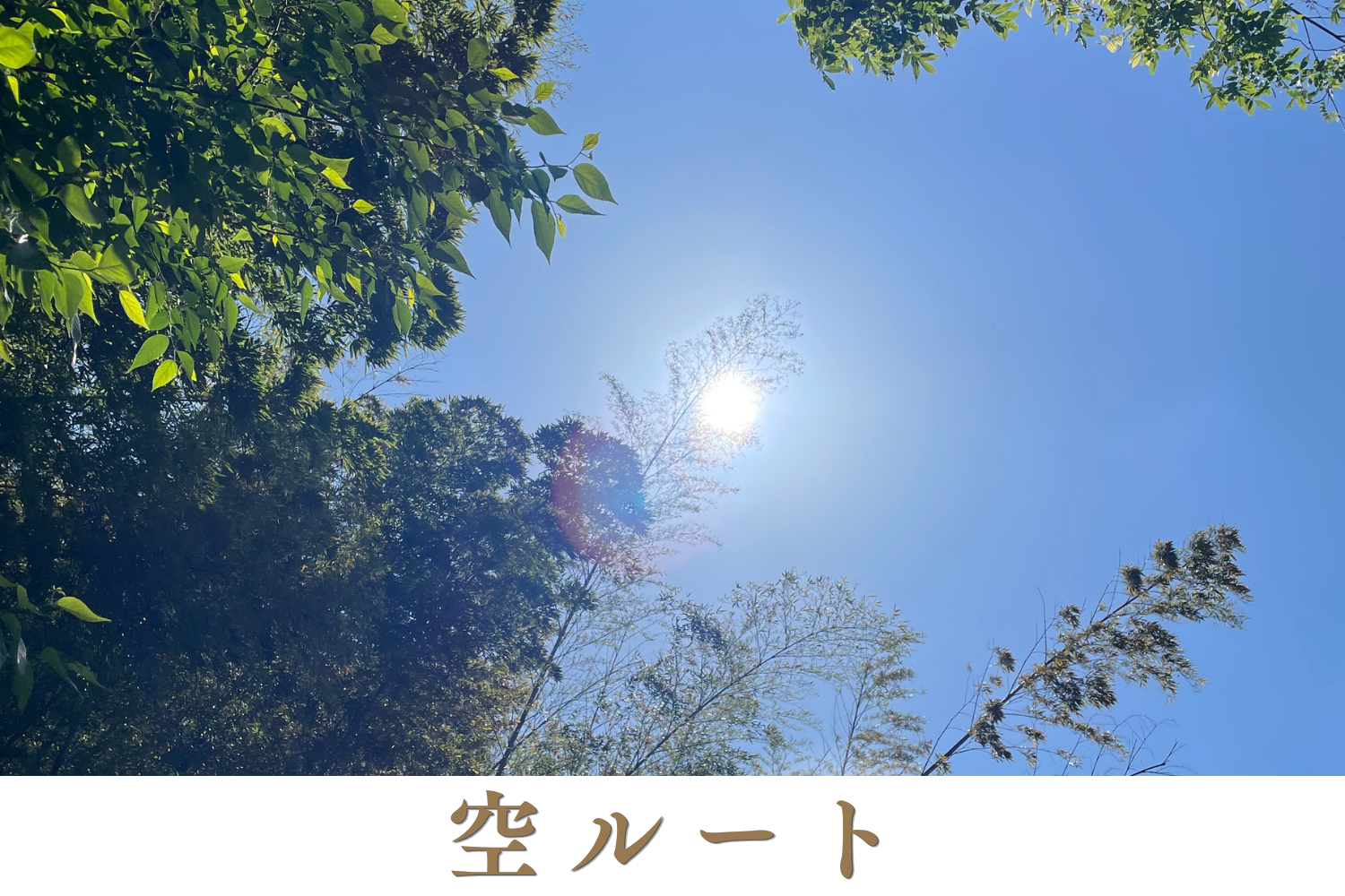 指鍼と刺す鍼でコリを仕留める 鍼処NAOTO - 宮崎出張所 - 【 鍼を使わない徹底的にコリを狙った 】空ルート整体のメニュー画像