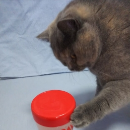 とみず鍼灸整骨院のスタッフ画像-1