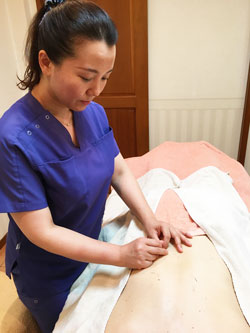 メディカルスパ西鎌倉鍼灸院のスタッフ画像-0