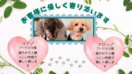 恵楽治療院のスタッフ画像-1