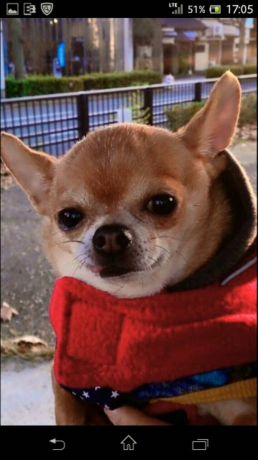 藤本鍼灸整骨院のスタッフ画像-1