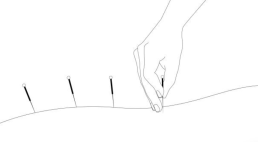 鍼灸院 Anjuのスタッフ画像-0