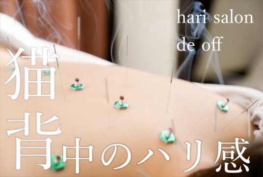 hari salon de off 心斎橋店