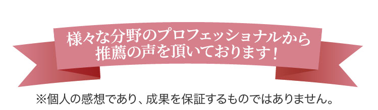 様々な分野のプロフェッショナルから推薦の声を頂いております！※個人の感想であり、成果を保証するものではありません。