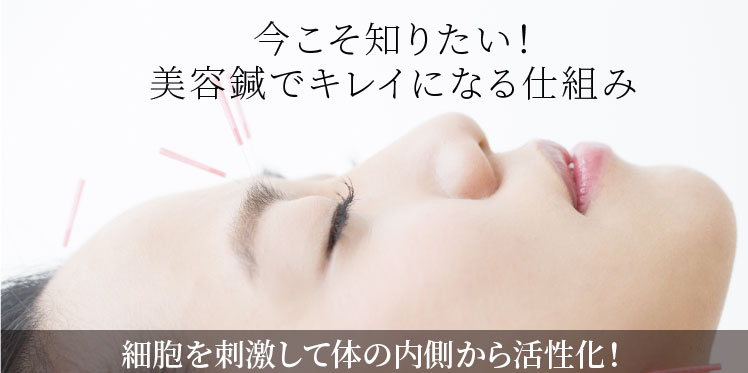 今こそ知りたい! 美容鍼でキレイになる仕組み 細胞を刺激して体の内側から活性化!
