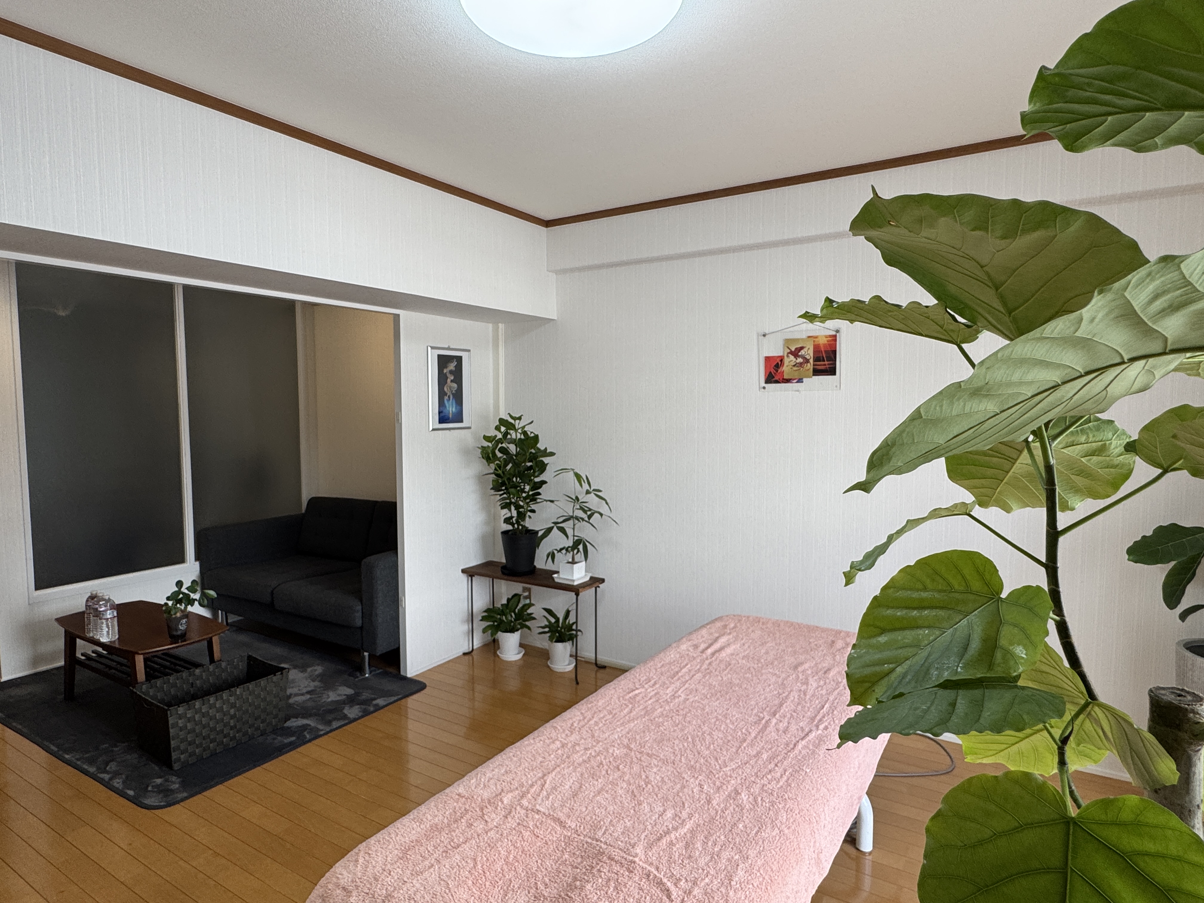 はりす　繁盛治療院のしくみ 繁盛治療院のしくみ 214の絶対法則 | 花谷 博幸 |本 | 通販 | Amazon